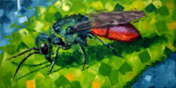 original acrylic painting of insect, Deadly Beauty by Lubosh Valenta