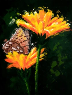 painting In the Limelight, butterfly sitting on a flower